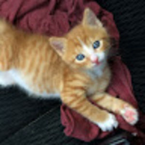 Meet your Posher, Glennis